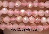 CTG1031 15.5 inches 2mm faceted round tiny moonstone beads