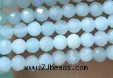 CTG1049 15.5 inches 2mm faceted round tiny amazonite beads