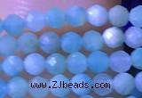 CTG1050 15.5 inches 2mm faceted round tiny amazonite beads