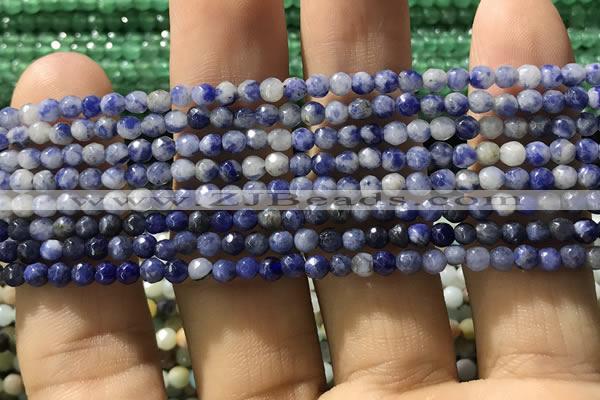 CTG1192 15.5 inches 3mm faceted round tiny blue spot stone beads