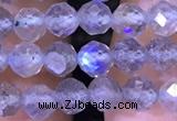 CTG1208 15.5 inches 4mm faceted round tiny labradorite beads