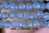 CTG1380 15.5 inches 2mm faceted round tiny apatite beads