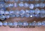 CTG1416 15.5 inches 2mm faceted round apatite beads wholesale