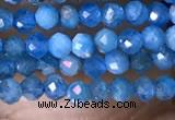 CTG1418 15.5 inches 2mm faceted round apatite beads wholesale