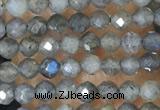 CTG1459 15.5 inches 2mm faceted round labradorite beads wholesale