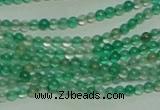 CTG152 15.5 inches 3mm round tiny green agate beads wholesale