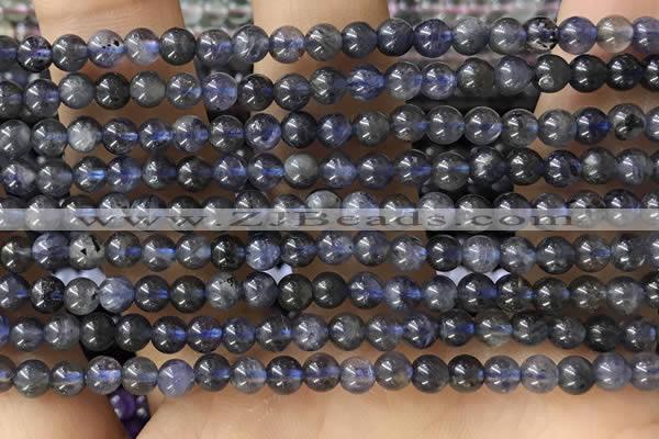 CTG1591 15.5 inches 4mm round iolite gemstone beads wholesale