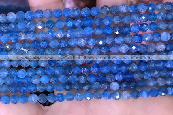 CTG1615 15.5 inches 4mm faceted round tiny apatite beads