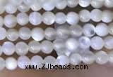 CTG2047 15 inches 2mm,3mm mother of pearl beads