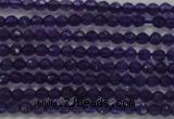 CTG205 15.5 inches 3mm faceted round tiny amethyst gemstone beads