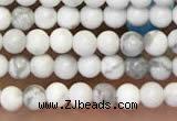 CTG2087 15 inches 2mm,3mm natural white howlite gemstone beads