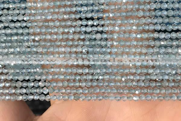 CTG2131 15 inches 2mm,3mm faceted round apatite gemstone beads