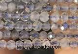 CTG2133 15 inches 2mm,3mm faceted round labradorite gemstone beads