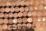 CTG2138 15 inches 2mm,3mm faceted round sunstone gemstone beads