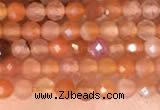 CTG2142 15 inches 2mm,3mm faceted round golden sunstone beads