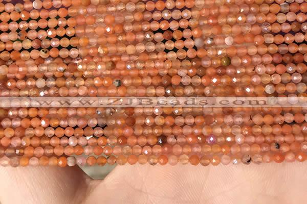 CTG2142 15 inches 2mm,3mm faceted round golden sunstone beads