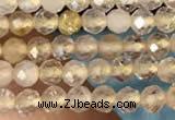 CTG2143 15 inches 2mm,3mm faceted round golden rutilated quartz beads