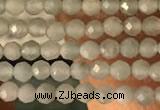 CTG2155 15 inches 2mm,3mm faceted round amazonite gemstone beads