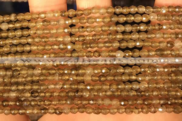 CTG2208 15 inches 2mm,3mm faceted round labradorite gemstone beads