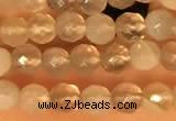 CTG2209 15 inches 2mm,3mm faceted round botswana agate beads