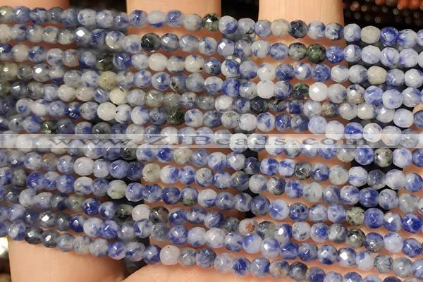 CTG2216 15 inches 2mm,3mm faceted round sodalite gemstone