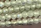 CTG2246 15 inches 2mm faceted round natural prehnite beads