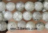 CTG3585 15.5 inches 4mm faceted round labradorite beads