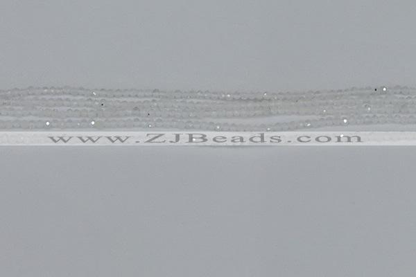 CTG603 15.5 inches 2mm faceted round white moonstone beads