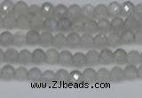 CTG613 15.5 inches 3mm faceted round labradorite beads