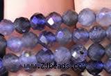 CTG754 15.5 inches 3mm faceted round tiny iolite gemstone beads