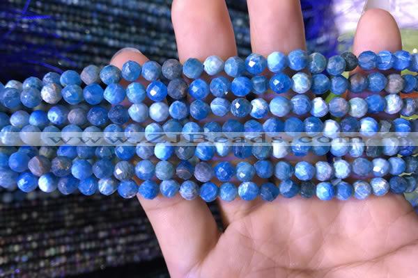 CTG762 15.5 inches 5mm faceted round tiny apatite gemstone beads
