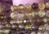 CTG816 15.5 inches 3mm faceted round tiny green garnet beads