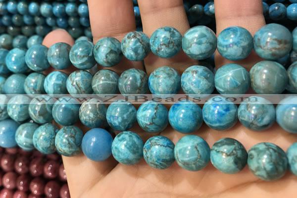 CTU3019 15.5 inches 12mm round South African turquoise beads