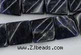 CTW355 15.5 inches 16*16mm twisted square sodalite gemstone beads