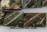 CTW398 15.5 inches 18*25mm twisted rectangle rhyolite gemstone beads