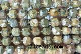 CUBE243 15 inches 10mm faceted cube rhyolite gemstone beads wholesale