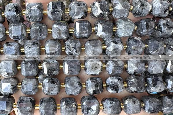CUBE250 15 inches 10mm faceted cube black labradorite beads wholesale