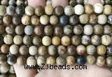 CWJ592 15.5 inches 8mm round wood jasper beads wholesale