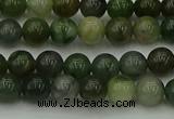 CXJ401 15.5 inches 6mm round Xinjiang jade beads wholesale