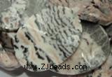 CZJ11 16 inches 30*40mm waved oval zebra jasper gemstone beads