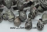 CZJ16 16 inches 8*12mm teardrop zebra jasper gemstone beads wholesale