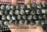 CZJ415 15.5 inches 14mm round green zebra jasper beads wholesale