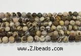 CZJ421 15.5 inches 6mm round Australian zebra jasper beads wholesale