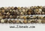 CZJ423 15.5 inches 10mm round Australian zebra jasper beads wholesale