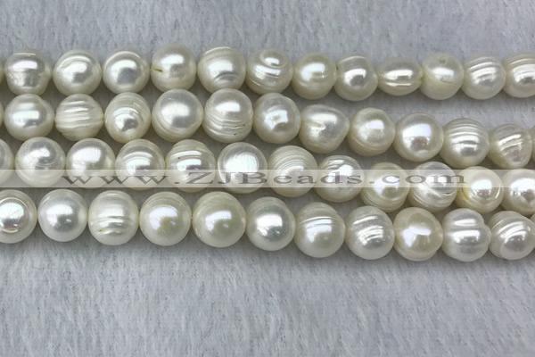 FWP123 15 inches 11mm - 12mm potato white freshwater pearl strands