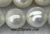 FWP131 15 inches 12mm - 13mm potato white freshwater pearl strands