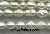 FWP154 14.5 inches 2mm - 3mm rice white freshwater pearl strands