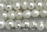 FWP16 14.5 inches 3.2mm - 3.7mm potato white freshwater pearl strands