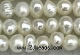 FWP17 14.5 inches 3.2mm - 3.7mm potato white freshwater pearl strands