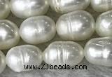FWP171 14.5 inches 5mm - 6mm rice white freshwater pearl strands
